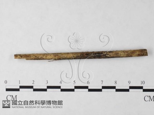 登錄號:F0024025藏品圖，第1張