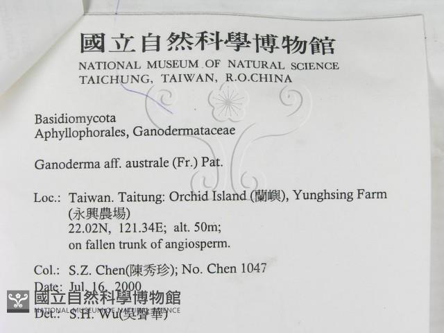 登錄號:F0012025藏品圖，第3張