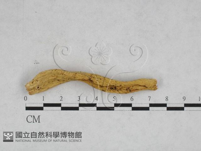 登錄號:F0028325藏品圖，第1張