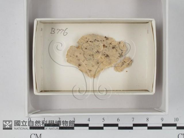 館號:F0021325藏品圖，第1張