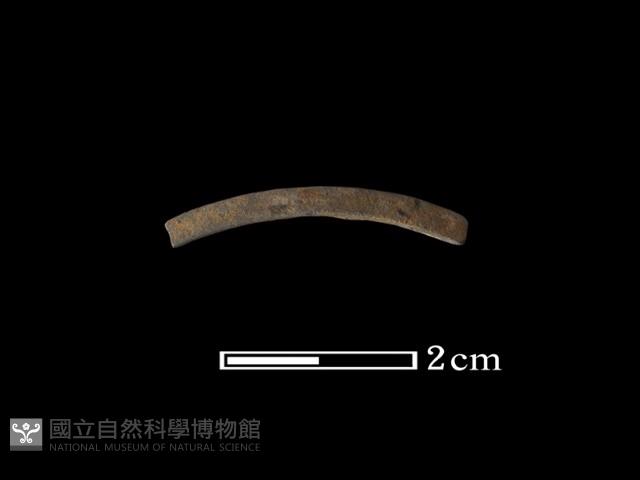 陶環藏品圖，第2張