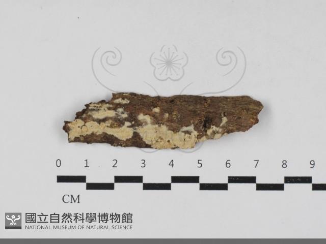 登錄號:F0033325藏品圖，第1張