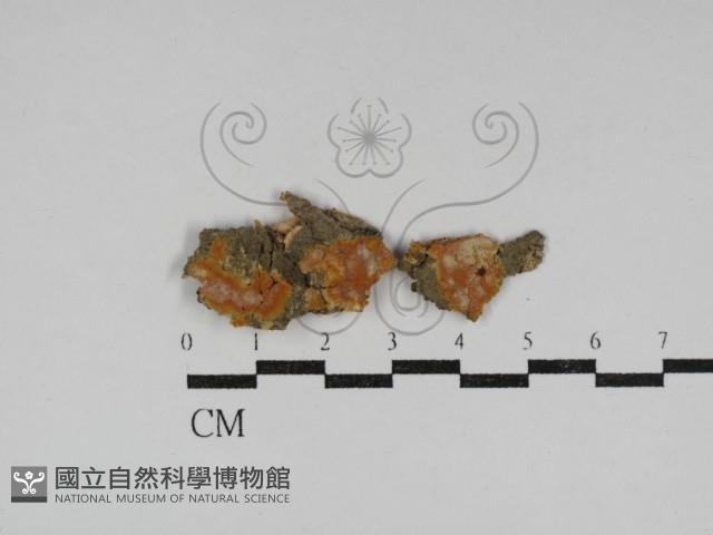 登錄號:F0031205藏品圖，第1張