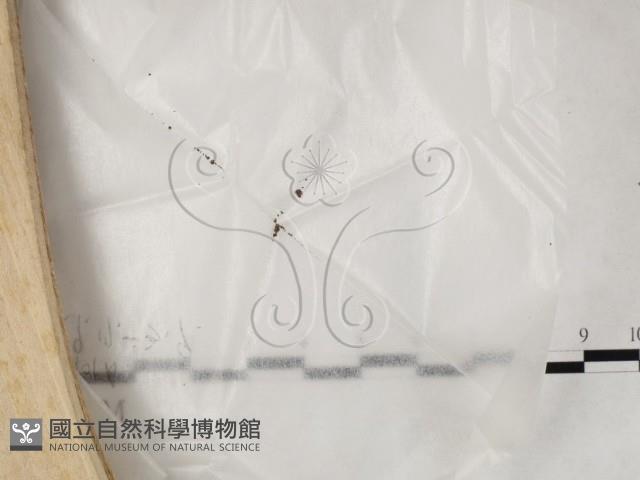 登錄號:F0023205藏品圖，第1張