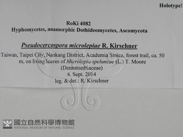 登錄號:F0028805藏品圖，第3張