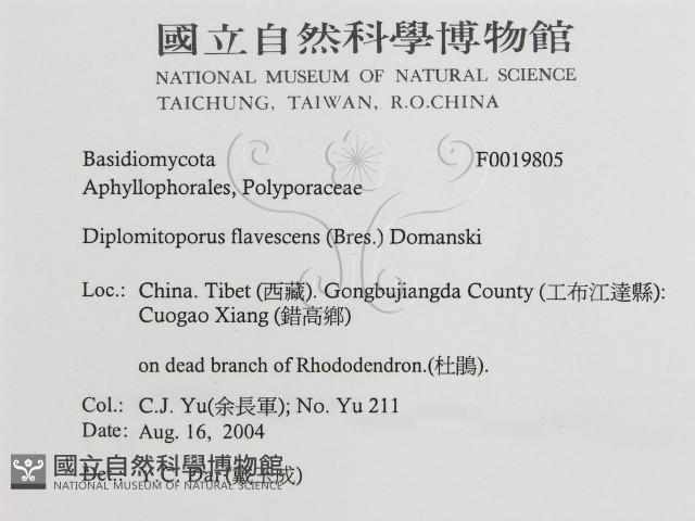 登錄號:F0019805藏品圖，第3張