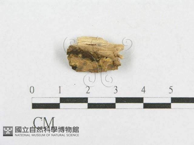 登錄號:F0002905藏品圖，第1張