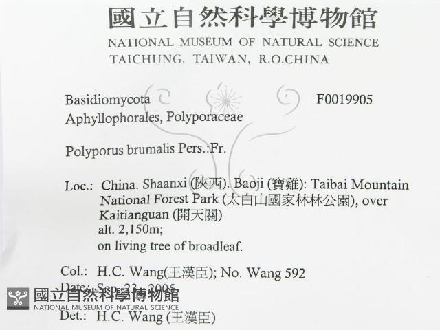 登錄號:F0019905藏品圖，第3張