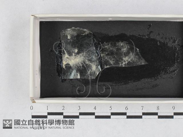 登錄號:F0028605藏品圖，第1張