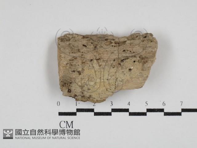 登錄號:F0030405藏品圖，第1張