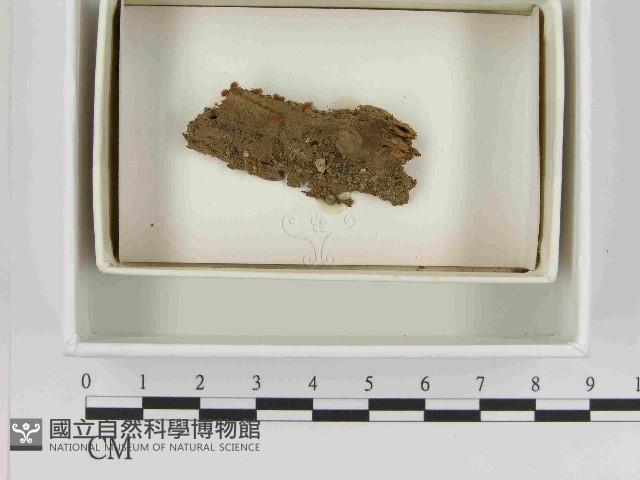 登錄號:F0021505藏品圖，第1張