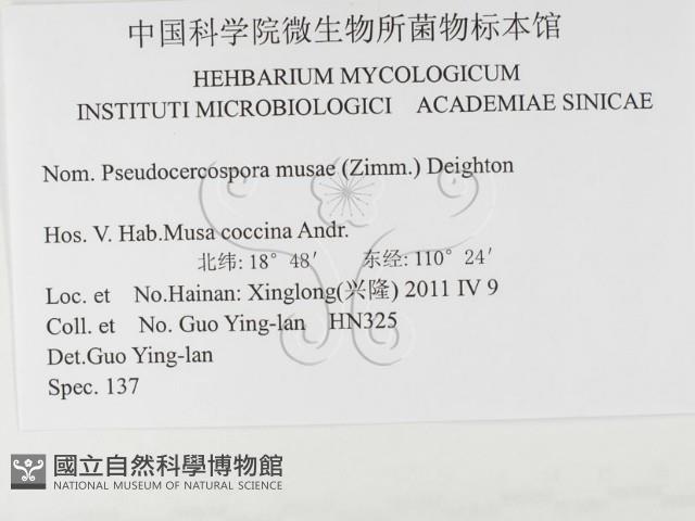 登錄號:F0026305藏品圖，第3張