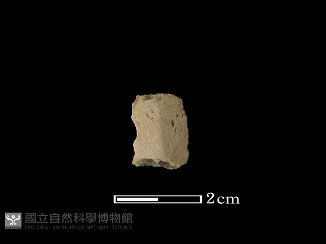 矛鏃形器藏品圖，第1張