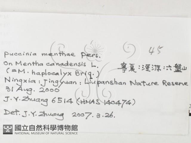 登錄號:F0026215藏品圖，第3張