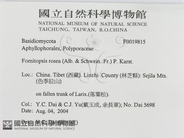 登錄號:F0019815藏品圖，第3張