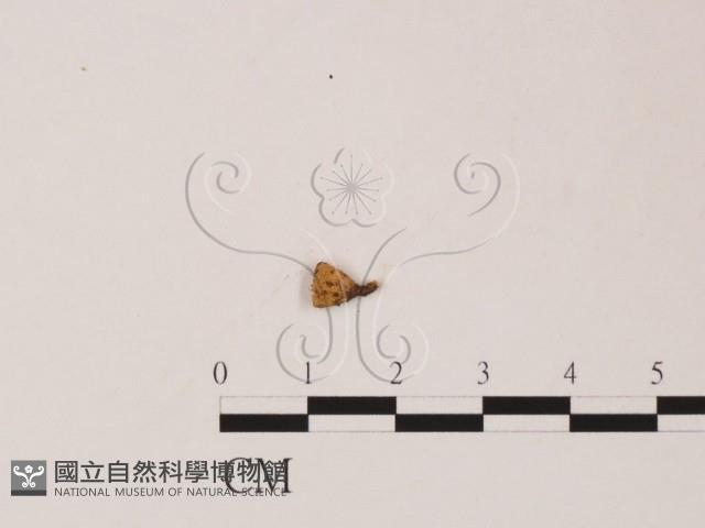 登錄號:F0008915藏品圖，第1張