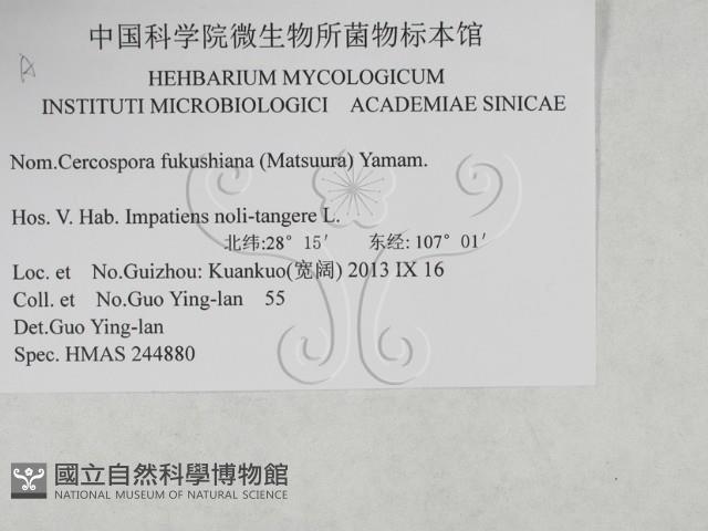 登錄號:F0027915藏品圖，第3張