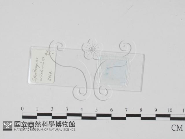 登錄號:F0017915藏品圖，第1張
