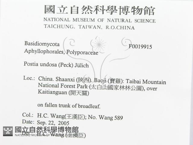 登錄號:F0019915藏品圖，第3張