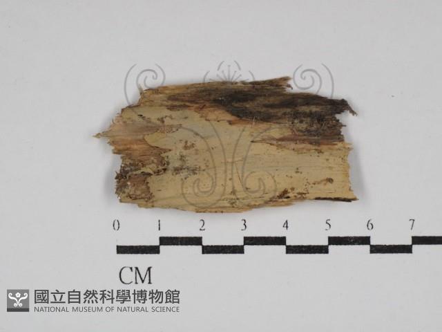 登錄號:F0030615藏品圖，第1張