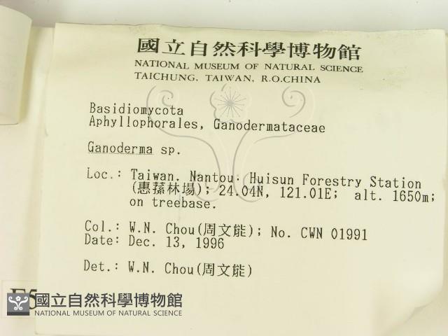 登錄號:F0005615藏品圖，第3張