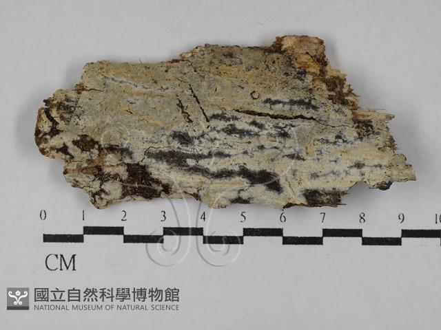 登錄號:F0029615藏品圖，第1張