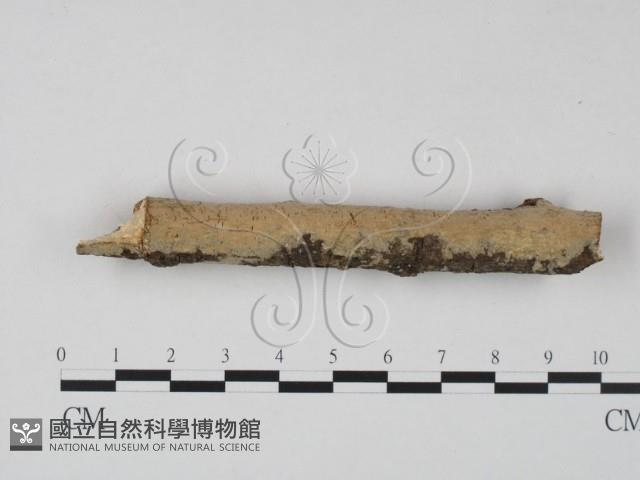 登錄號:F0023615藏品圖，第1張
