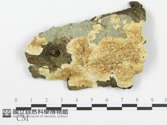 登錄號:F0020415藏品圖，第1張