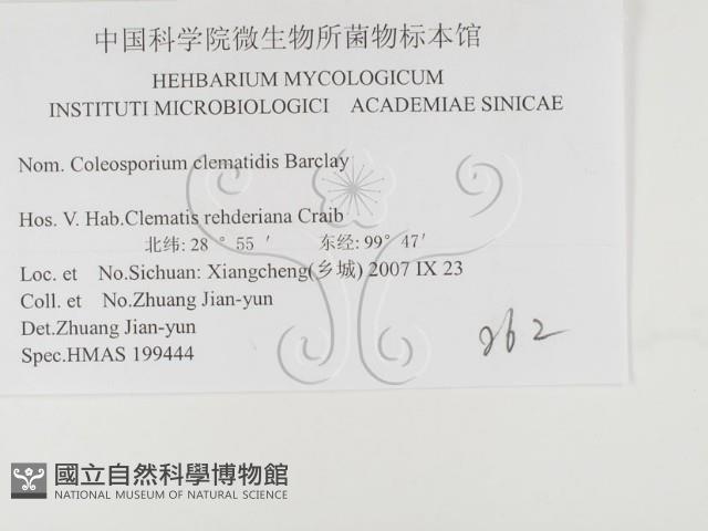 登錄號:F0026415藏品圖，第3張