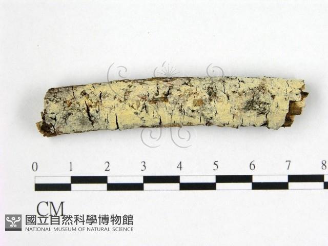 登錄號:F0022415藏品圖，第1張