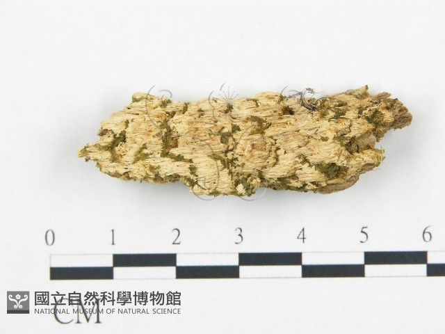 登錄號:F0006715藏品圖，第1張