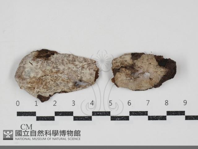 登錄號:F0034715藏品圖，第1張