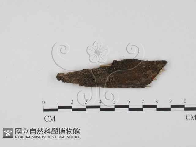 登錄號:F0007715藏品圖，第1張