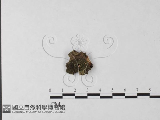 登錄號:F0023715藏品圖，第1張