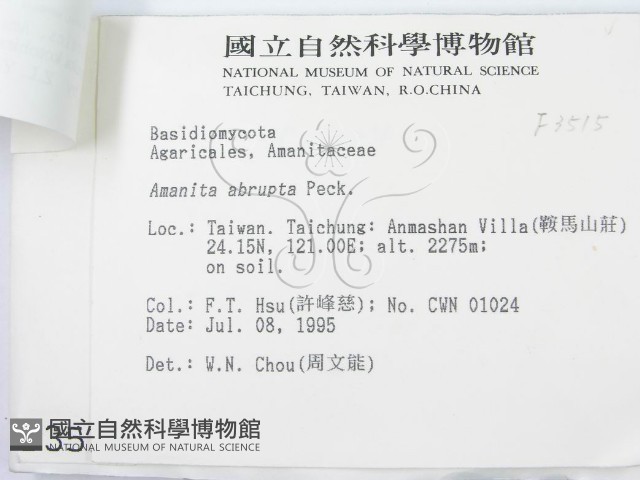 登錄號:F0003515藏品圖，第3張