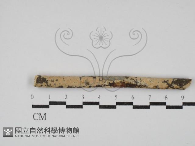 登錄號:F0030115藏品圖，第1張
