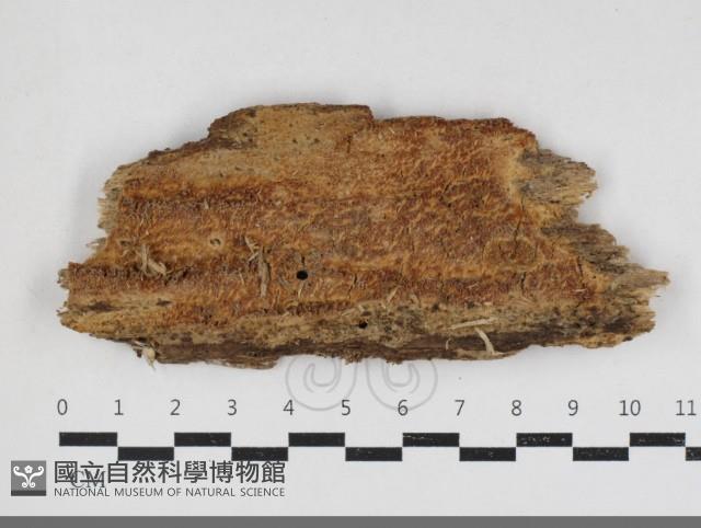 登錄號:F0034115藏品圖，第1張