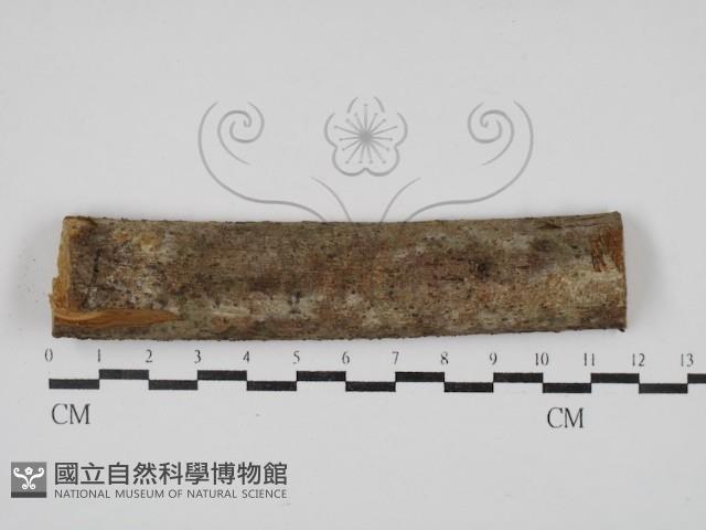 登錄號:F0030315藏品圖，第1張