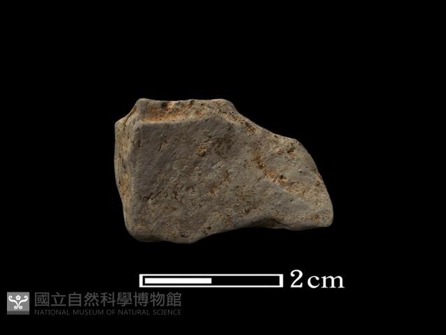 陶片藏品圖，第2張