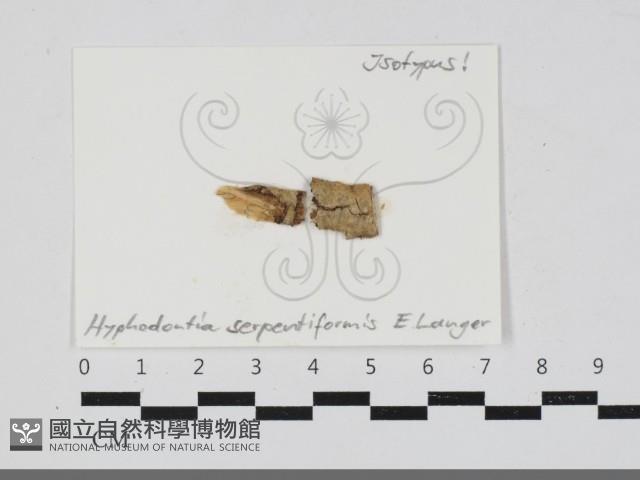登錄號:F0033315藏品圖，第1張
