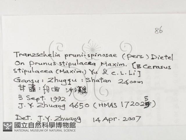 登錄號:F0026255藏品圖，第3張