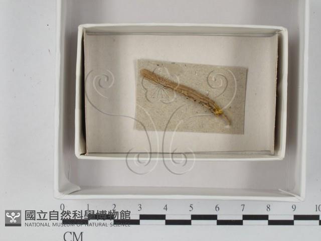登錄號:F0021255藏品圖，第1張