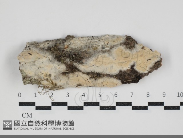 登錄號:F0034255藏品圖，第1張