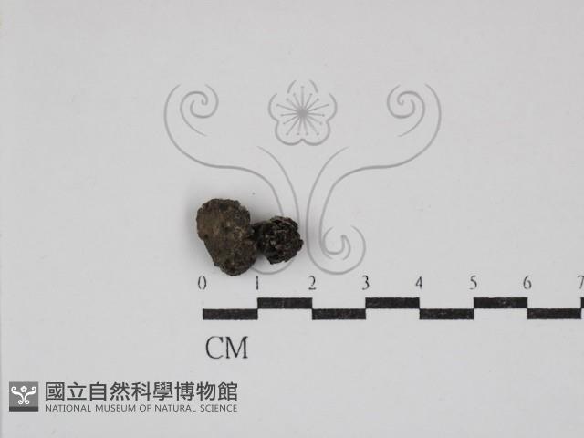 登錄號:F0030855藏品圖，第1張