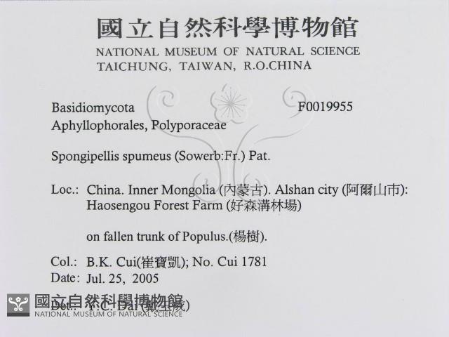 登錄號:F0019955藏品圖，第3張