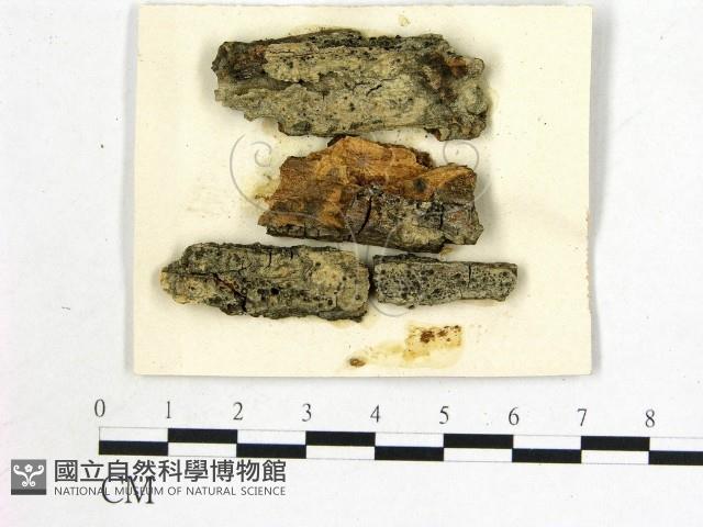 登錄號:F0011655藏品圖，第1張