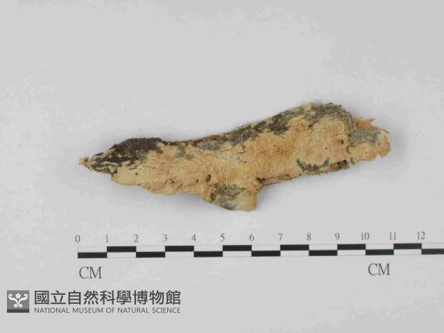 登錄號:F0023655藏品圖，第1張