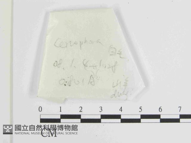 登錄號:F0021455藏品圖，第1張