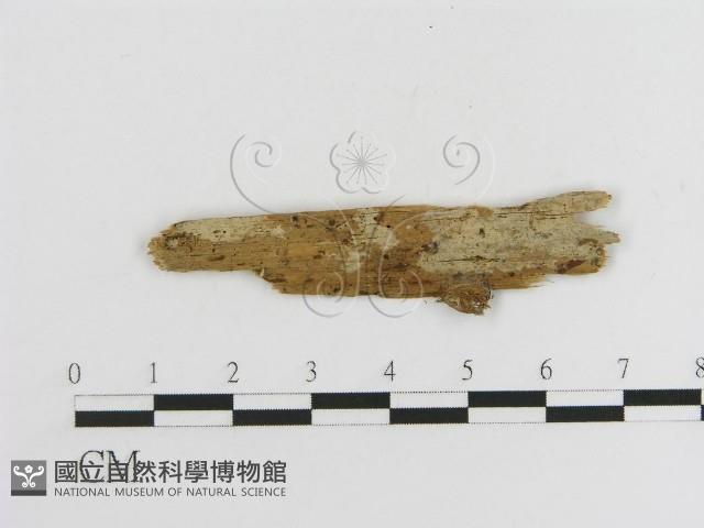 登錄號:F0016755藏品圖，第1張