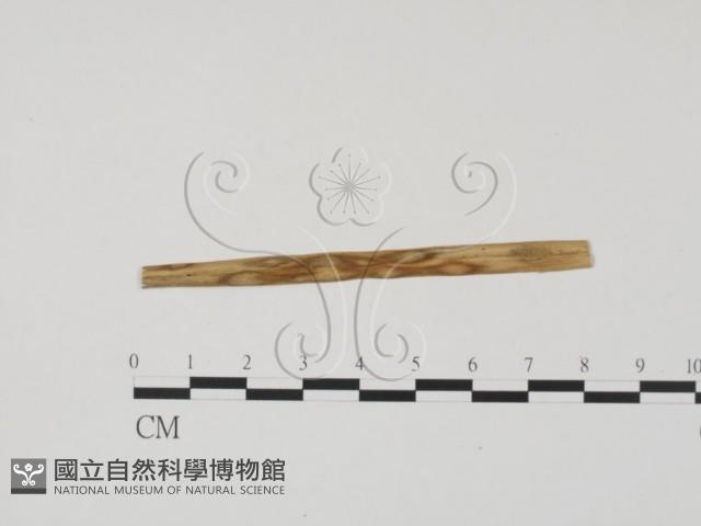 登錄號:F0011755藏品圖，第1張
